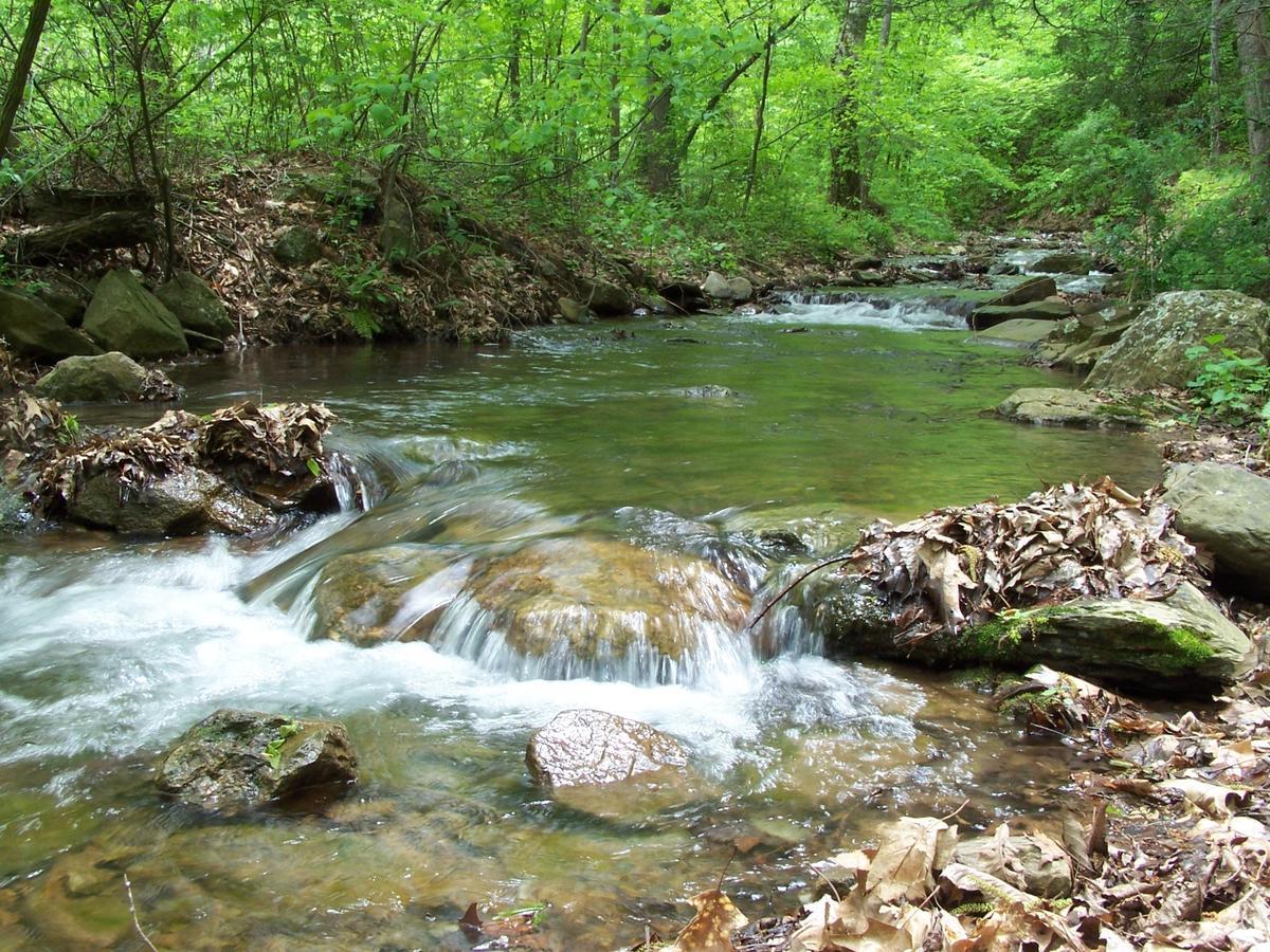 Cabin Creekwood Lyndhurst Luaran gambar