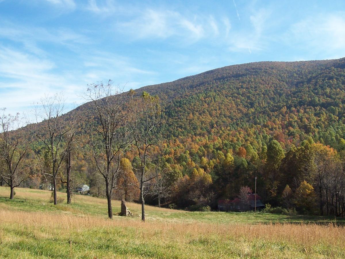 Cabin Creekwood Lyndhurst Luaran gambar